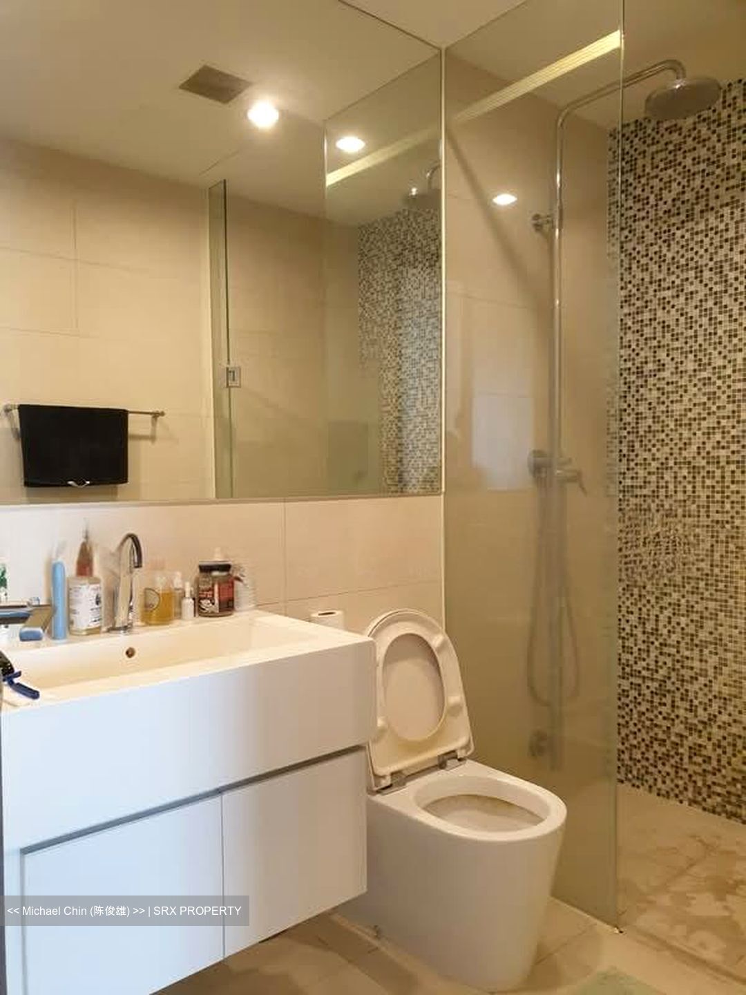 The Rochester Residences (D5), Apartment #586056751